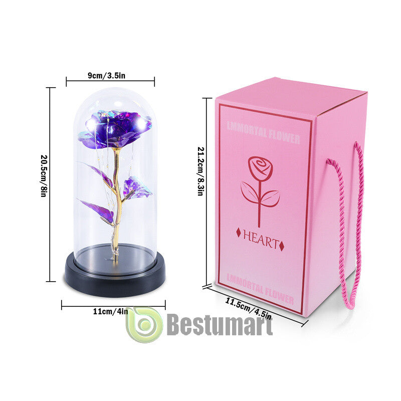 Gifts for Wife Women Wife Gifts for Her Valentine Girlfriend Gifts Birthday Gift