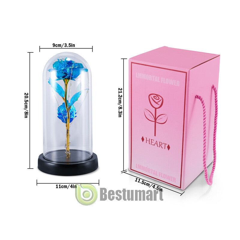 Gifts for Wife Women Wife Gifts for Her Valentine Girlfriend Gifts Birthday Gift