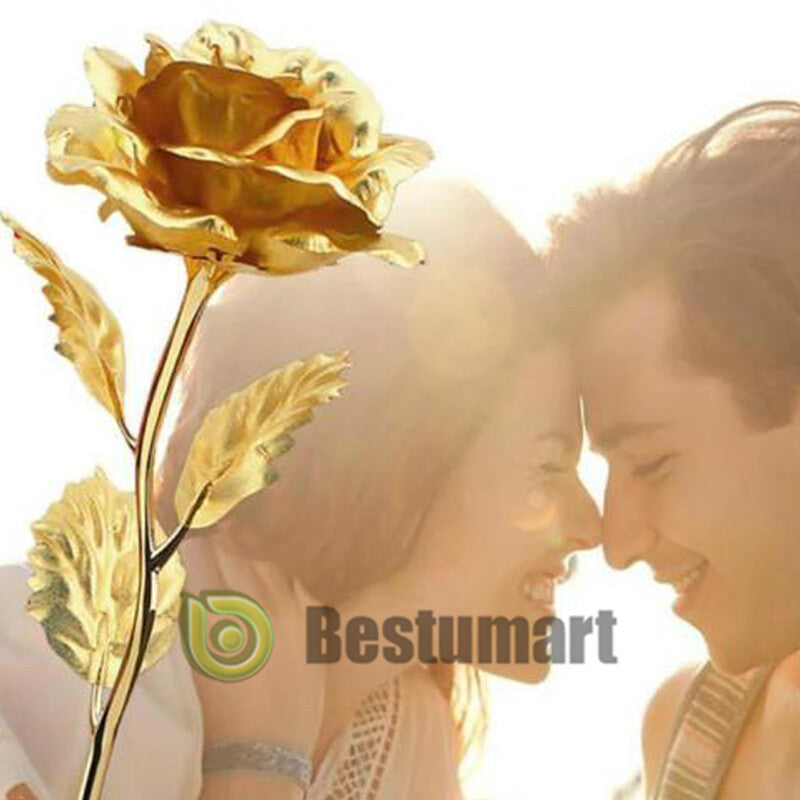 Gifts for Wife Women Wife Gifts for Her Valentine Girlfriend Gifts Birthday Gift