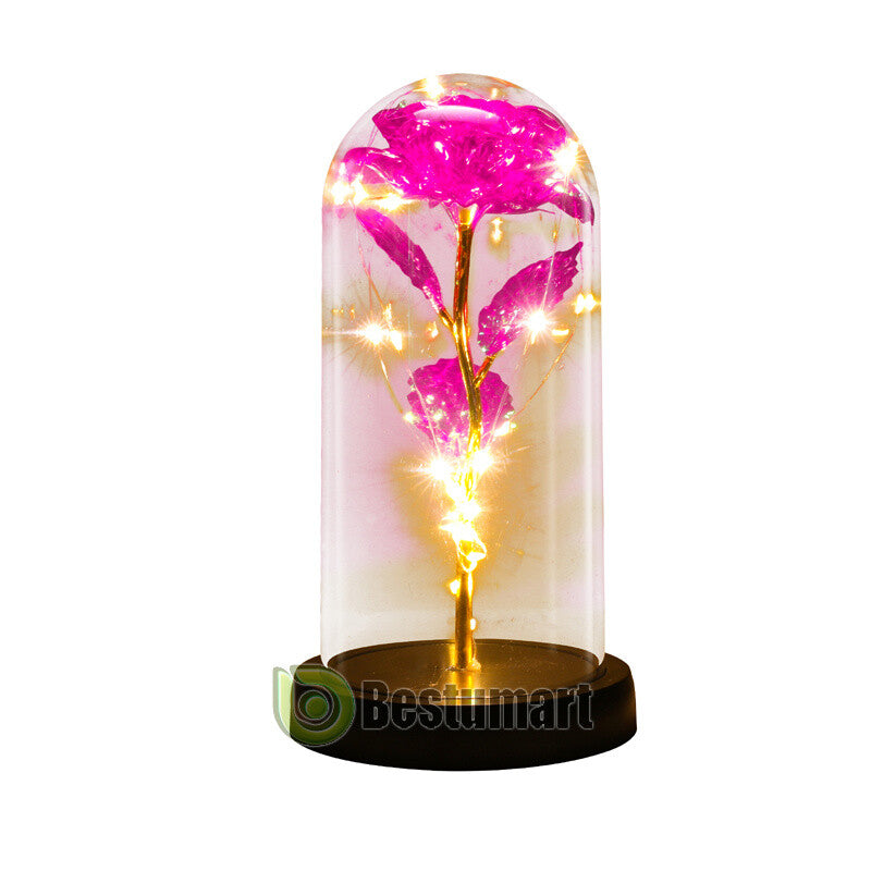 Gifts for Wife Women Wife Gifts for Her Valentine Girlfriend Gifts Birthday Gift