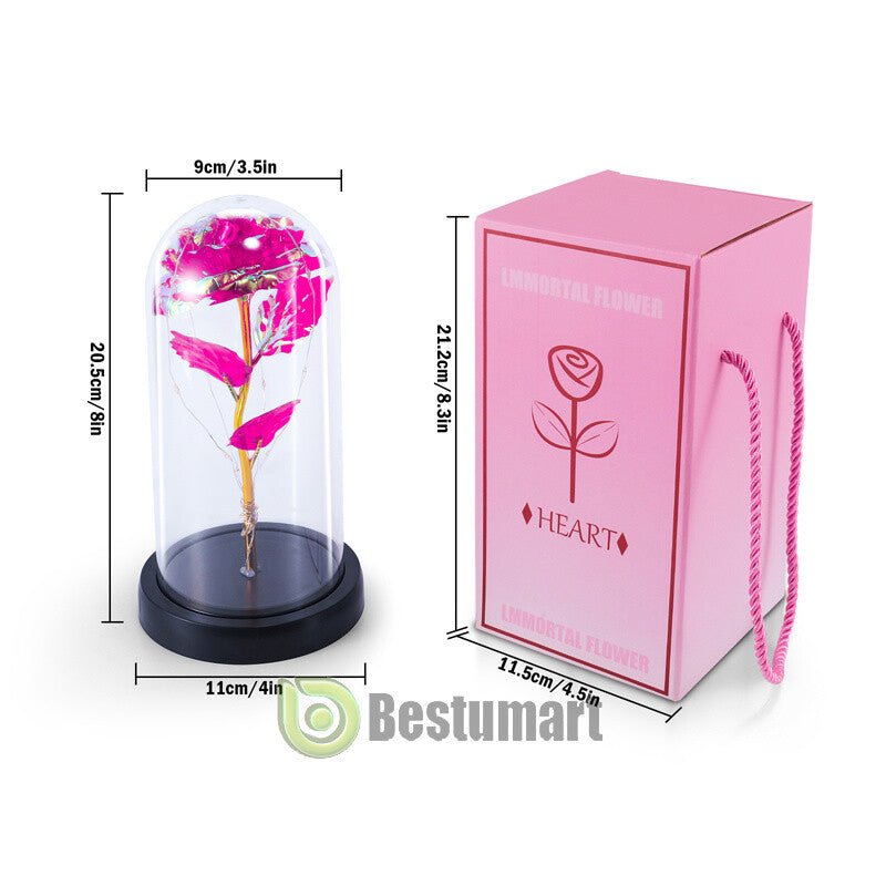 Gifts for Wife Women Wife Gifts for Her Valentine Girlfriend Gifts Birthday Gift