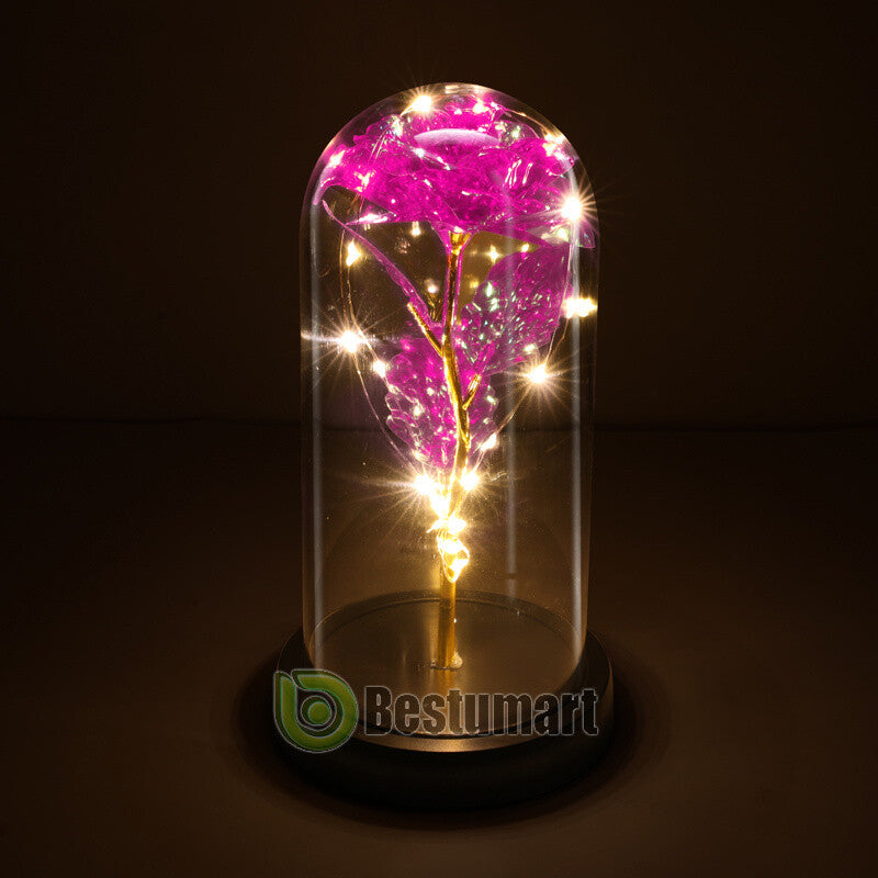 Gifts for Wife Women Wife Gifts for Her Valentine Girlfriend Gifts Birthday Gift