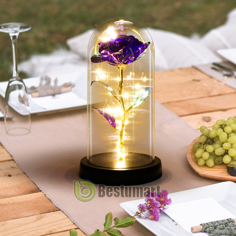 Gifts for Wife Women Wife Gifts for Her Valentine Girlfriend Gifts Birthday Gift