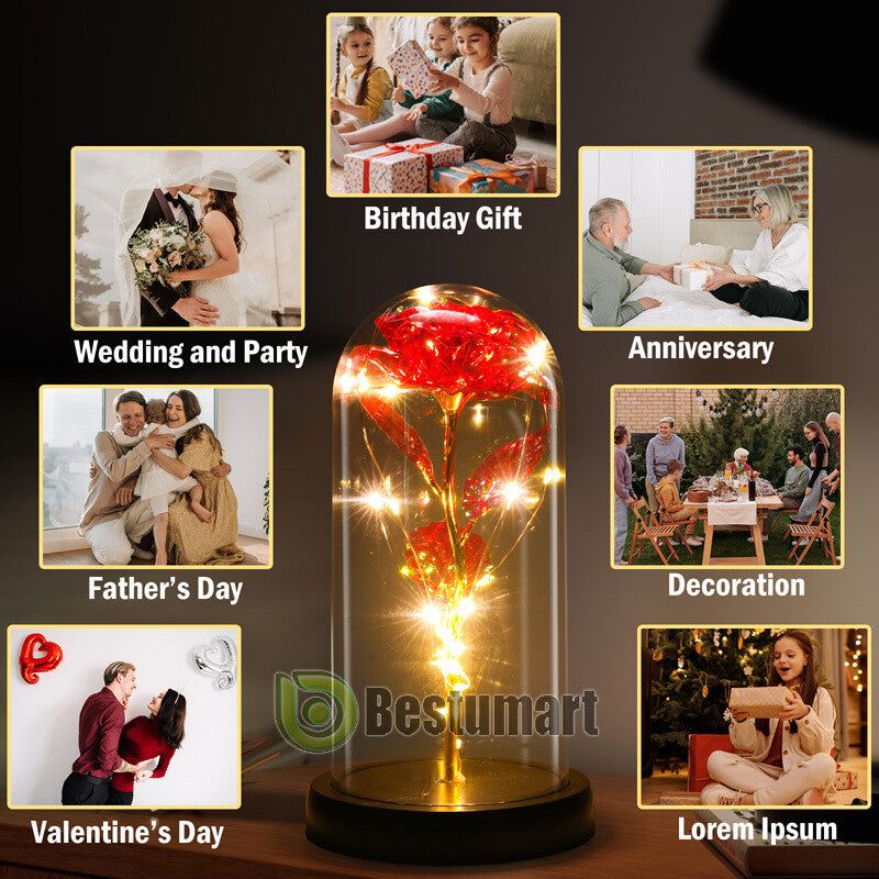 Gifts for Wife Women Wife Gifts for Her Valentine Girlfriend Gifts Birthday Gift