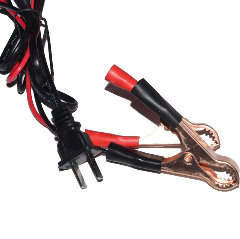 High-Performance 12V/24V 10A Maintenance-Free Battery Charger for Electric Cars - 140W Output