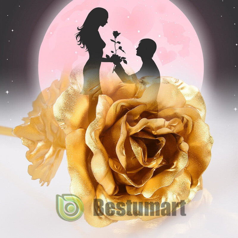 Gifts for Wife Women Wife Gifts for Her Valentine Girlfriend Gifts Birthday Gift