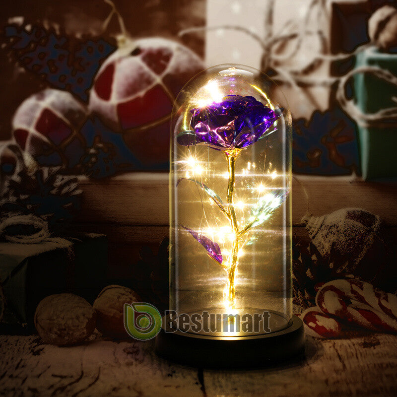 Gifts for Wife Women Wife Gifts for Her Valentine Girlfriend Gifts Birthday Gift