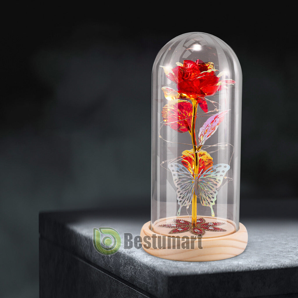 Gifts for Wife Women Wife Gifts for Her Valentine Girlfriend Gifts Birthday Gift