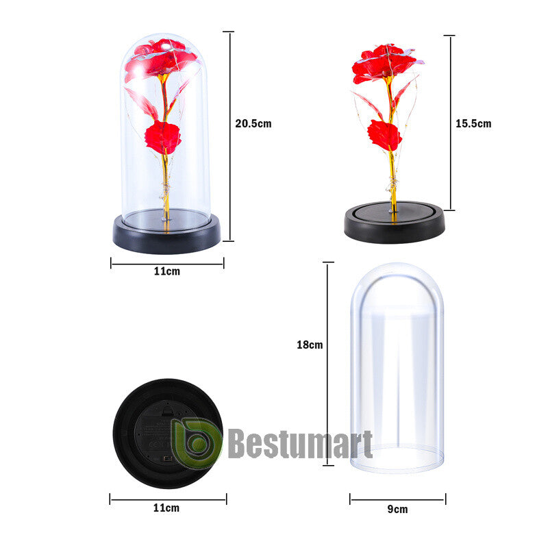 Gifts for Wife Women Wife Gifts for Her Valentine Girlfriend Gifts Birthday Gift