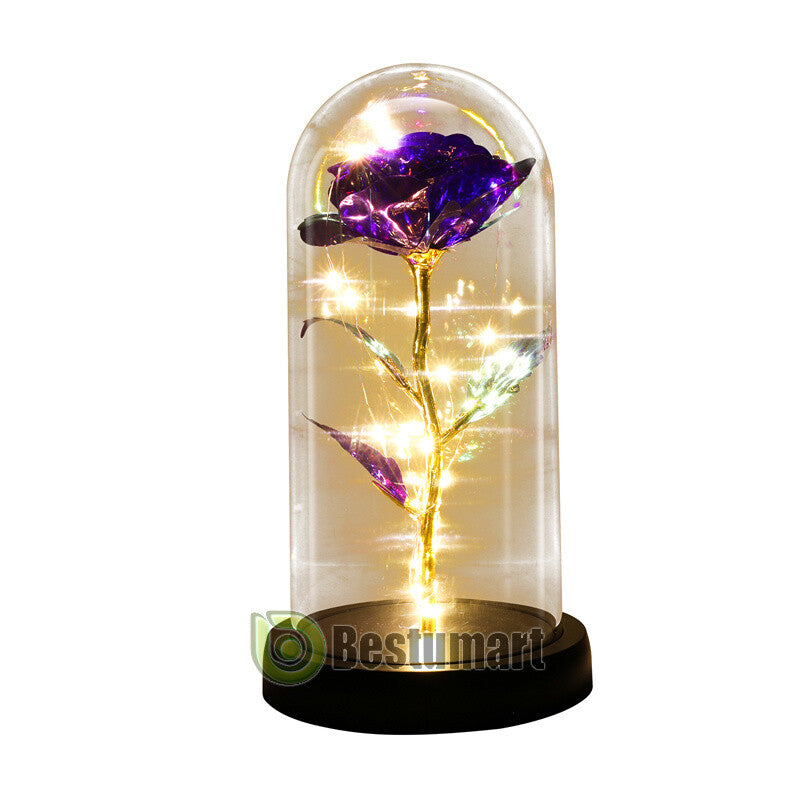 Gifts for Wife Women Wife Gifts for Her Valentine Girlfriend Gifts Birthday Gift