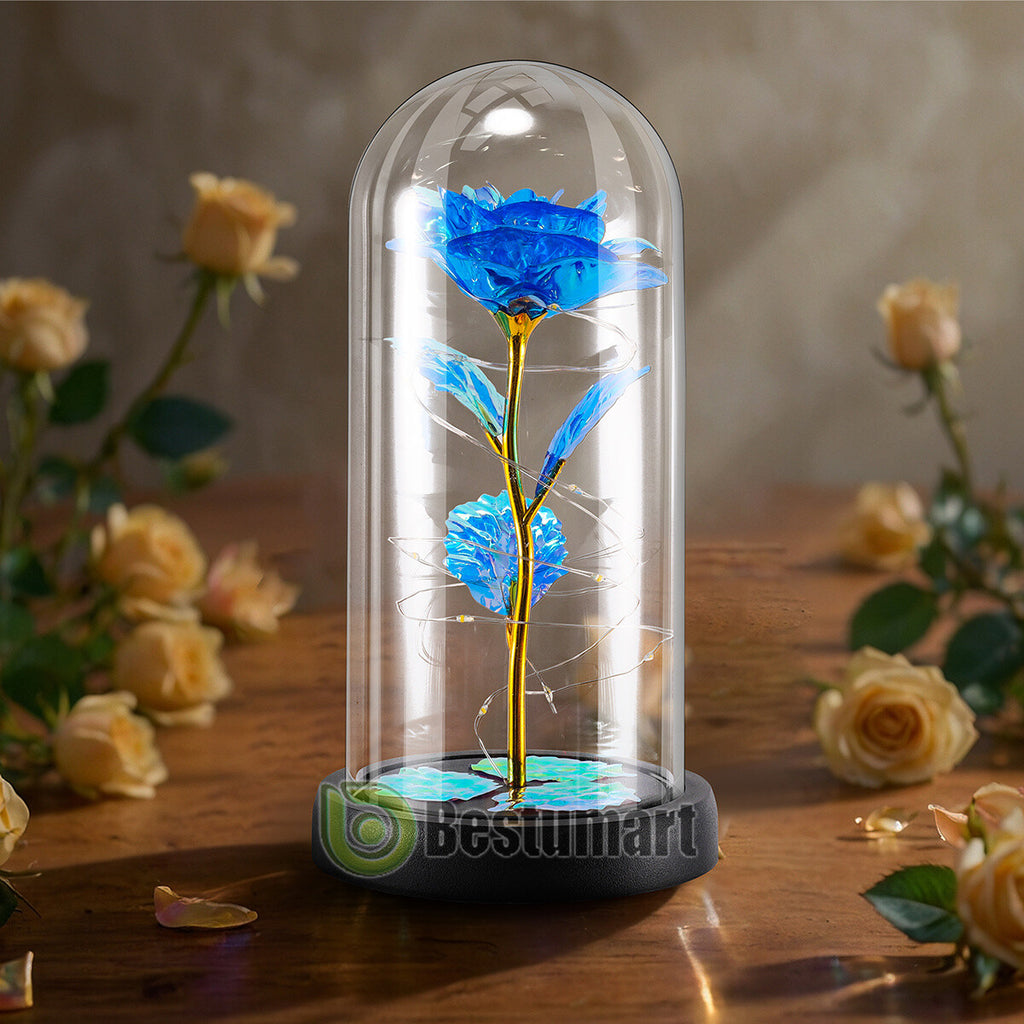 Gifts for Wife Women Wife Gifts for Her Valentine Girlfriend Gifts Birthday Gift