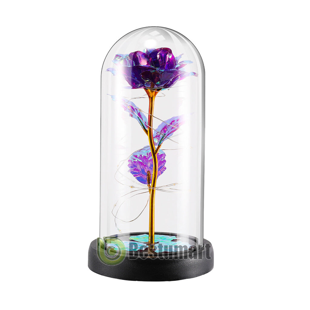 Gifts for Wife Women Wife Gifts for Her Valentine Girlfriend Gifts Birthday Gift