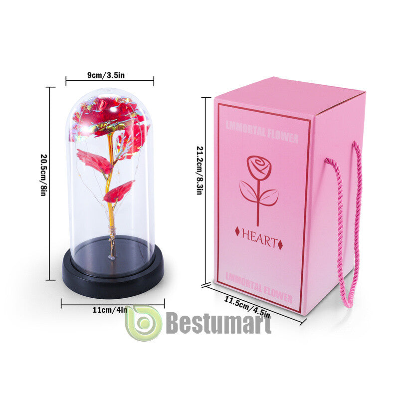 Gifts for Wife Women Wife Gifts for Her Valentine Girlfriend Gifts Birthday Gift