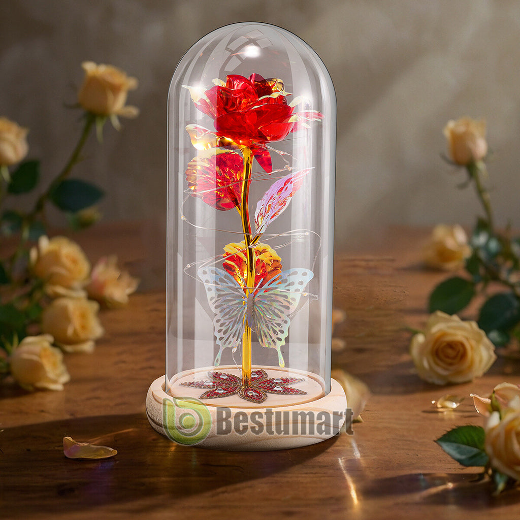 Gifts for Wife Women Wife Gifts for Her Valentine Girlfriend Gifts Birthday Gift