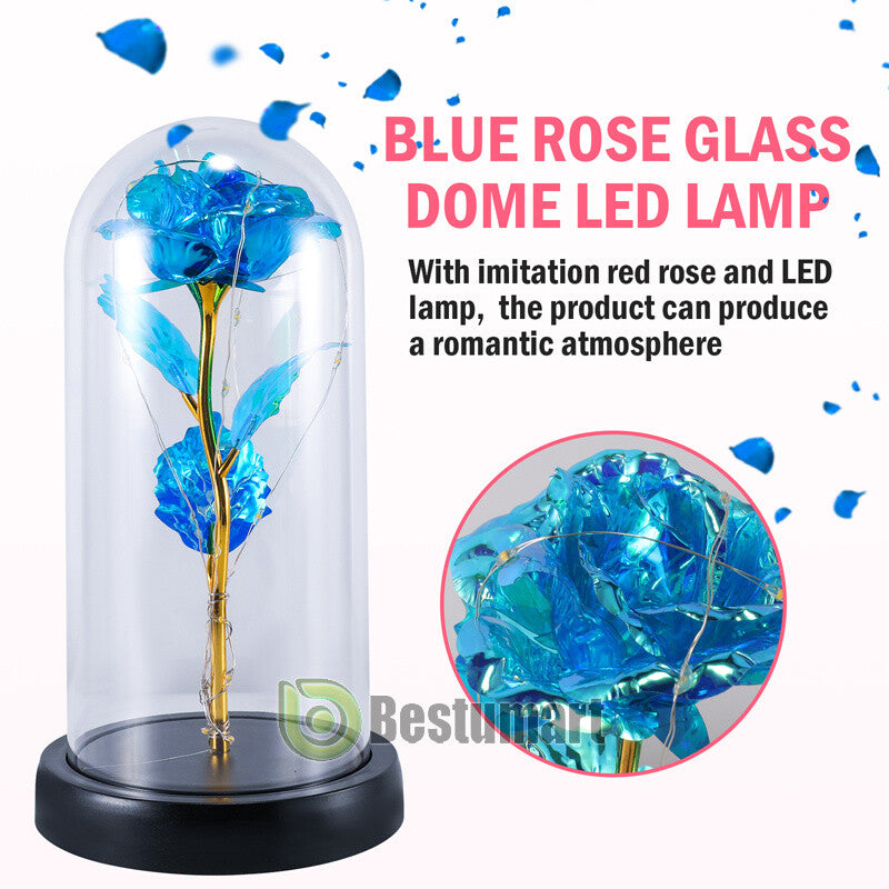 Gifts for Wife Women Wife Gifts for Her Valentine Girlfriend Gifts Birthday Gift